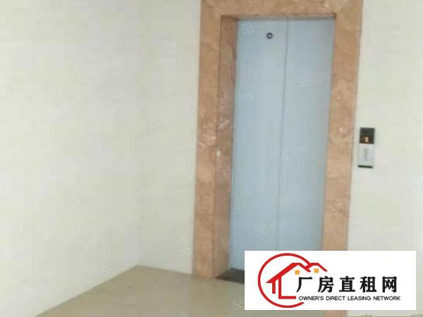  凤岗楼上适电子电商办公手袋厂房出租1600平豪华装修