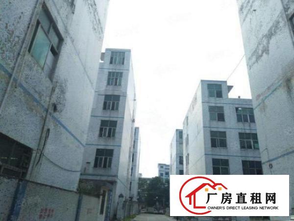  凤岗五联工业区二楼1200平标准厂房出租带精装修办公室