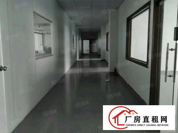  凤岗新出独门独院出租6500平，豪华办公室装修水电齐全好招工