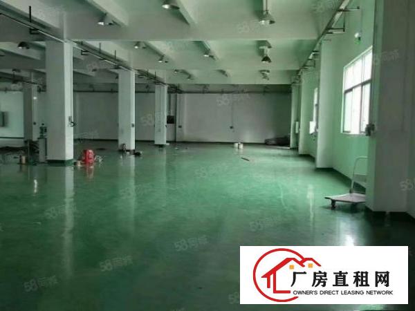  凤岗新出独门独院出租6500平，豪华办公室装修水电齐全好招工