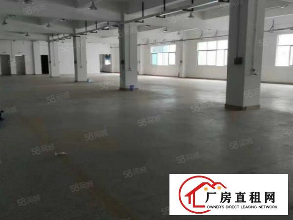  凤岗新出独门独院出租6500平，豪华办公室装修水电齐全好招工