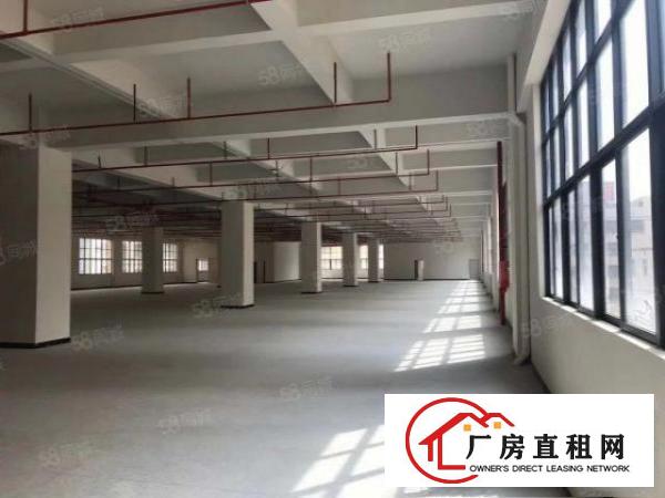  凤岗镇官井头原房东全新厂房出租。现有12000平，大小分租。