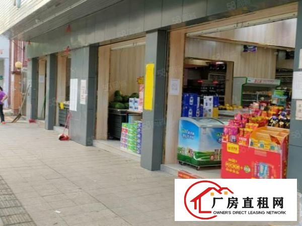  凤岗金凤凰工业区内宿舍一楼300平可做商店超大空地出租
