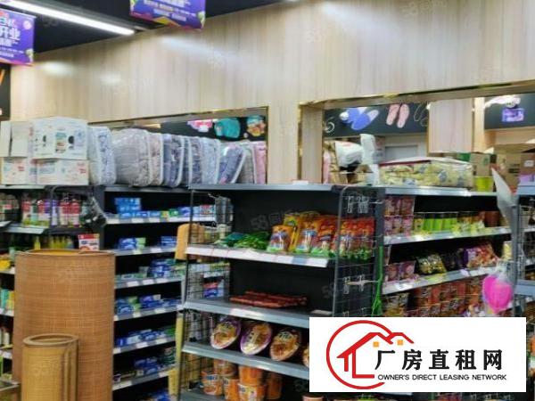  凤岗金凤凰工业区内宿舍一楼300平可做商店超大空地出租