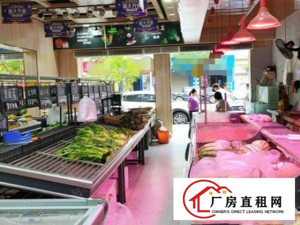  凤岗金凤凰工业区内宿舍一楼300平可做商店超大空地出租