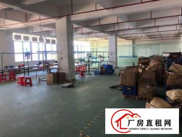  金凤凰精装修楼上660平方.