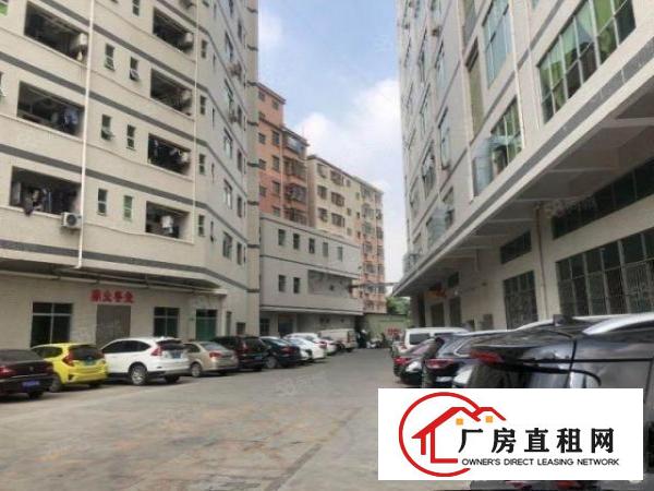  金凤凰精装修楼上660平方.