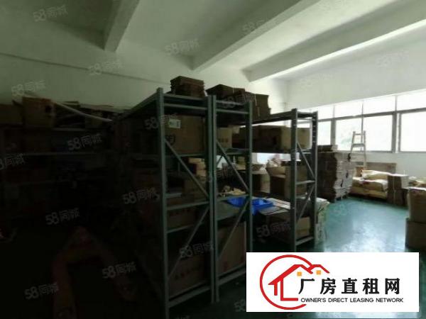  凤岗雁田布心成熟园区内空地超大楼上现成装修550平方厂房出租
