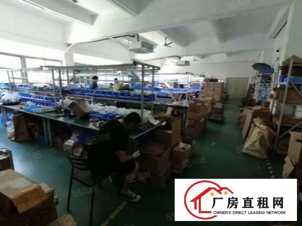  凤岗雁田布心成熟园区内空地超大楼上现成装修550平方厂房出租