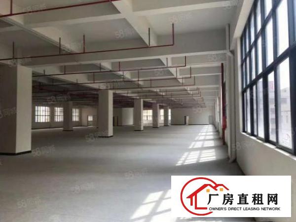  东莞凤岗清溪塘厦三镇交界处，12万平方厂房出租，500平起分
