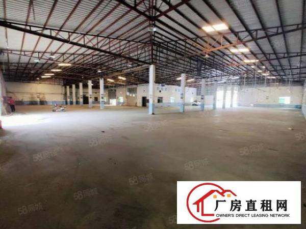  凤岗镇油甘埔独门独院钢构出租3000平高度7.5米工业用地