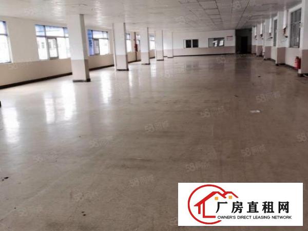  凤岗原房东大空地独院厂房8000平方（靠山）招租