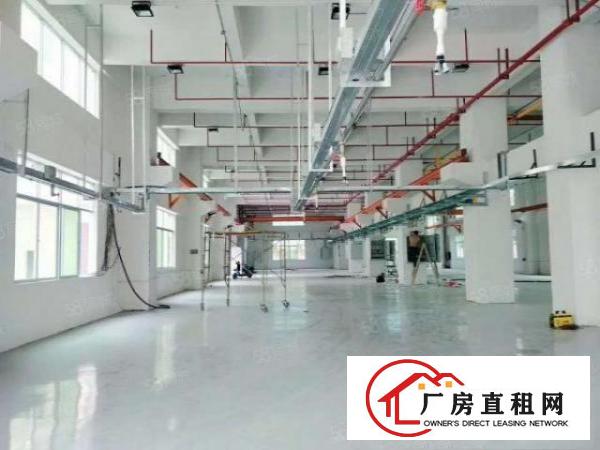  凤岗标准厂房钢构出租500到5000平方带装修航车空地大
