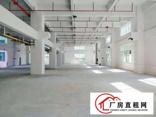  凤岗标准厂房钢构出租500到5000平方带装修航车空地大