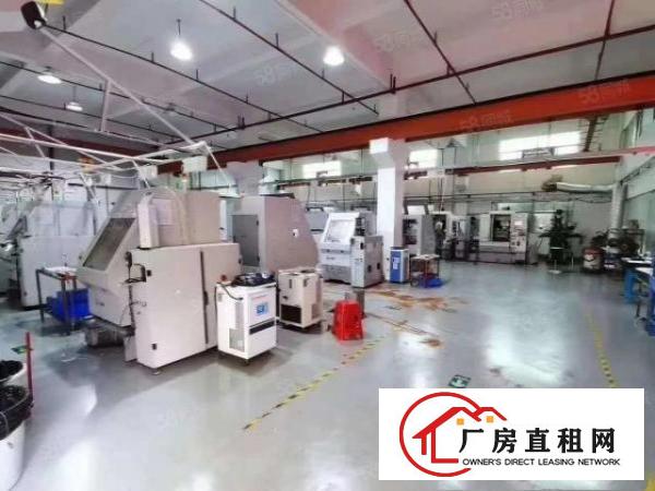  凤岗原房东带行车牛角一楼厂房出租1000平适合注塑机械模具