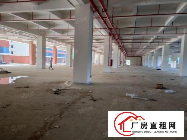  凤岗镇大型工业园全新厂房面积60000平，大小可分租