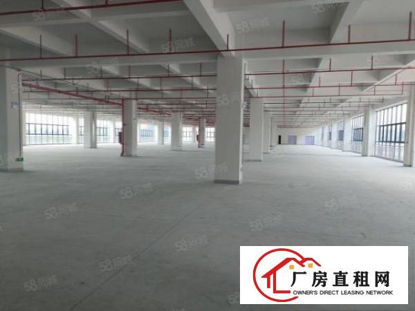  凤岗镇大型工业园全新厂房面积60000平，大小可分租