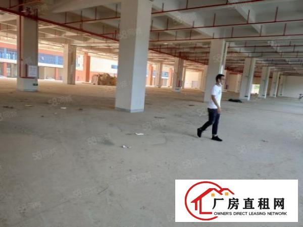 凤岗镇大型工业园全新厂房面积60000平，大小可分租