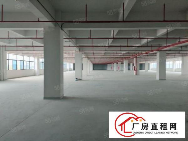  凤岗镇大型工业园全新厂房面积60000平，大小可分租
