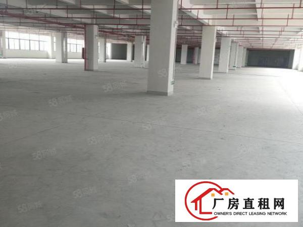  凤岗镇大型工业园全新厂房面积60000平，大小可分租