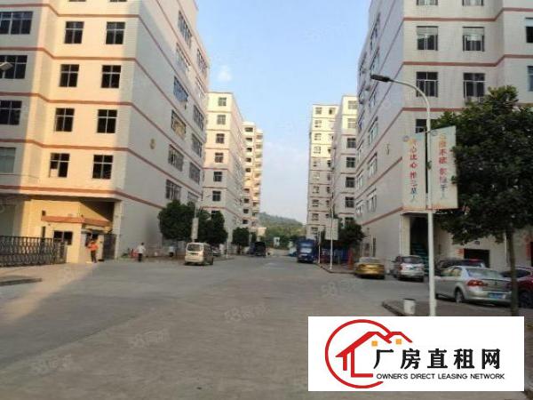  凤岗清溪路东深二线边上楼上5000平厂房出租，精装修，可分租