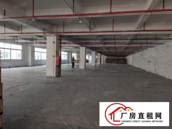  凤岗清溪路东深二线边上楼上5000平厂房出租，精装修，可分租