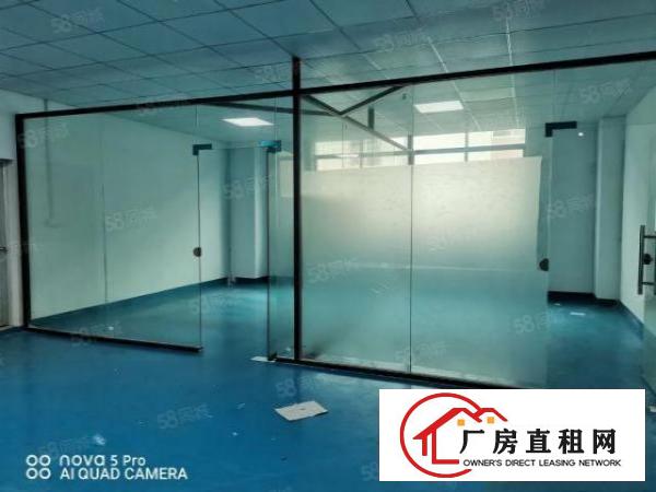 风岗金凤凰标准厂房1200平，精装地坪漆电子加工行业等