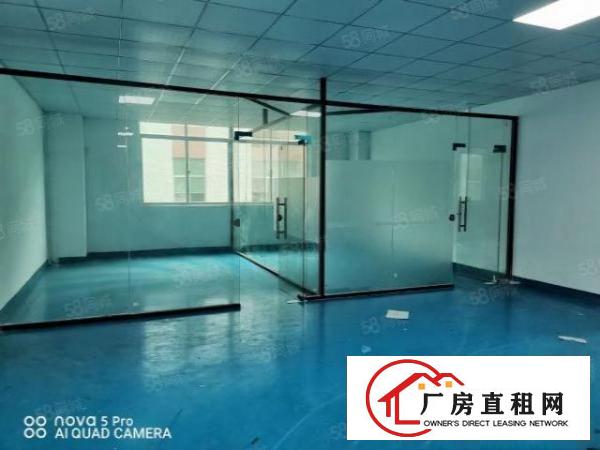  风岗金凤凰标准厂房1200平，精装地坪漆电子加工行业等