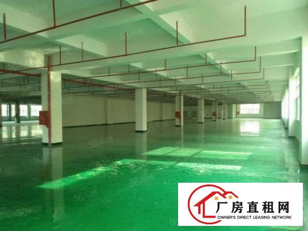  凤岗五联2200平厂房出租内部形象优带全新地坪漆消防喷淋