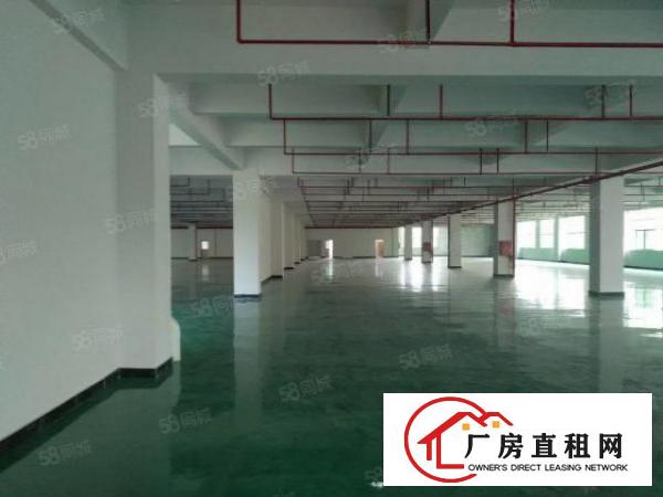  凤岗五联2200平厂房出租内部形象优带全新地坪漆消防喷淋