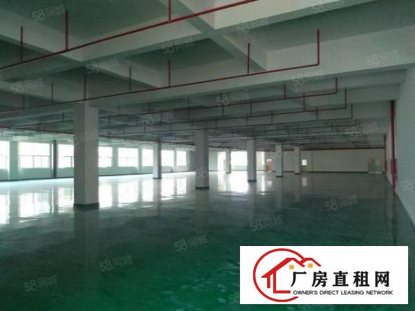  凤岗五联2200平厂房出租内部形象优带全新地坪漆消防喷淋