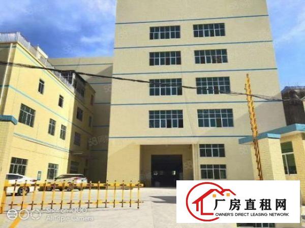  凤岗五联2200平厂房出租内部形象优带全新地坪漆消防喷淋
