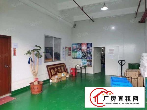  凤岗标准一楼6米高厂房1100平方米出租带牛角价格优惠