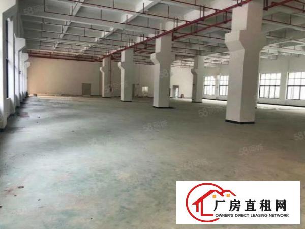  凤岗标准一楼6米高厂房1100平方米出租带牛角价格优惠