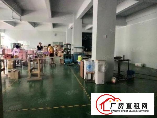  凤岗雁田空出原房东2楼800平方，水电齐全现成办公室车间