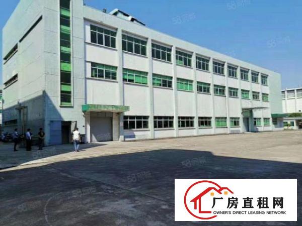  凤岗近深圳新出原房东独院6000平方带装修急租