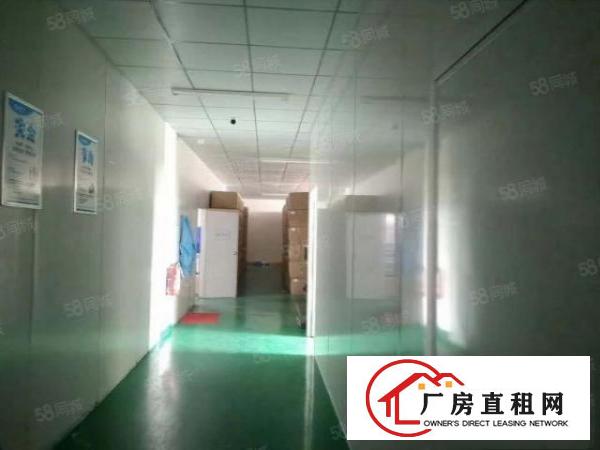  凤岗雁田4000平独院厂房出租，精装修，周边配套齐全可分租。
