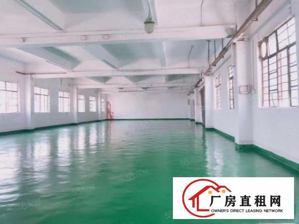  碧湖大道原房东独院整租
