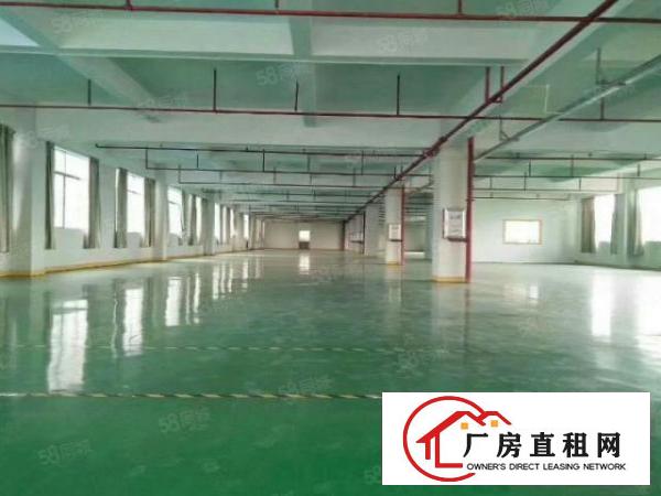  新出独院3900平方厂房出租可以分租