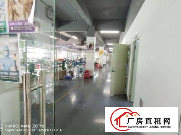  （精）凤岗新出官井头楼上1000平方现成装修拎包入住！