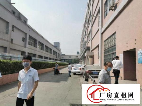  凤岗雁田原房东独院厂房出租二楼850平方带消防喷淋现成地坪漆