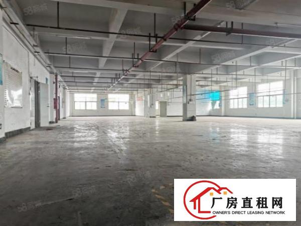  凤岗雁田原房东独院厂房出租二楼850平方带消防喷淋现成地坪漆