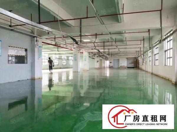  凤岗雁田出租2楼1500平豪华装修办公室水电齐全现房