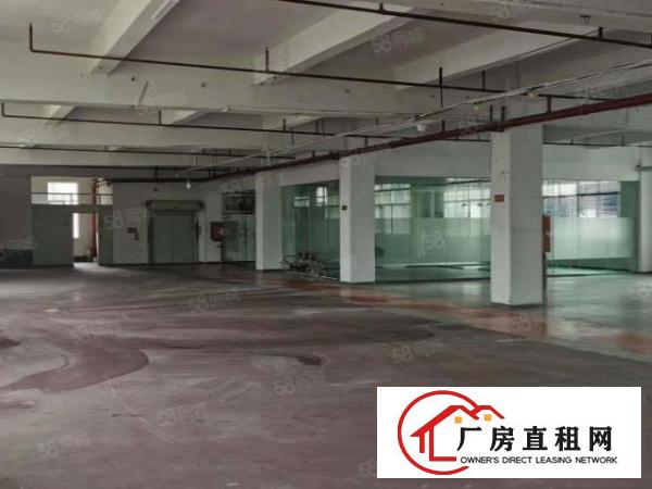  凤岗金凤凰成熟工业区3楼1300平分，现成装修办公室