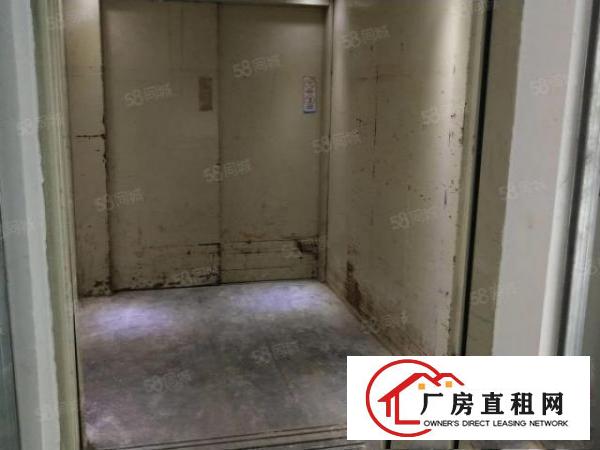  凤岗金凤凰工业区二楼1800平方带装修厂房出租，可分租