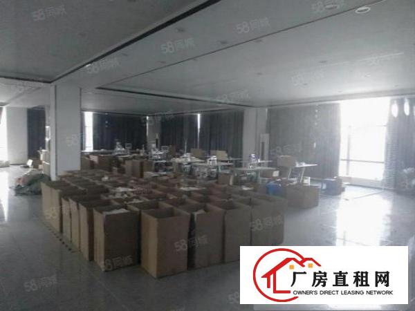  凤岗新出1000平豪华装修原房东厂房整层园区形象气派大气