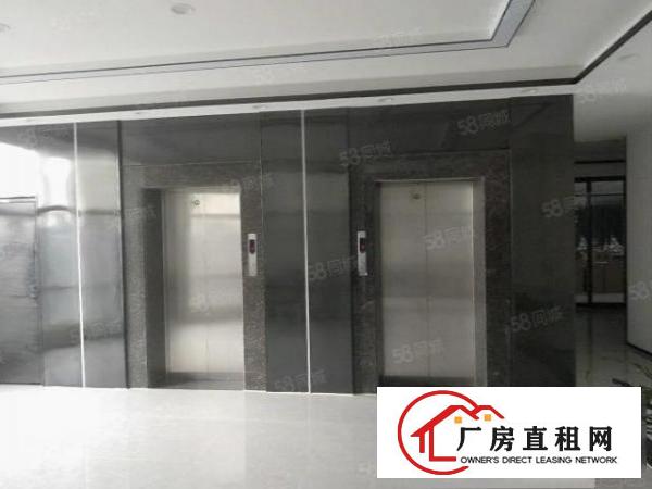  凤岗新出1000平豪华装修原房东厂房整层园区形象气派大气