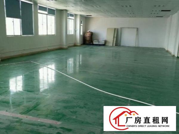  凤岗黄洞厂房出租，交通便利，标准工业园，可以进大车。