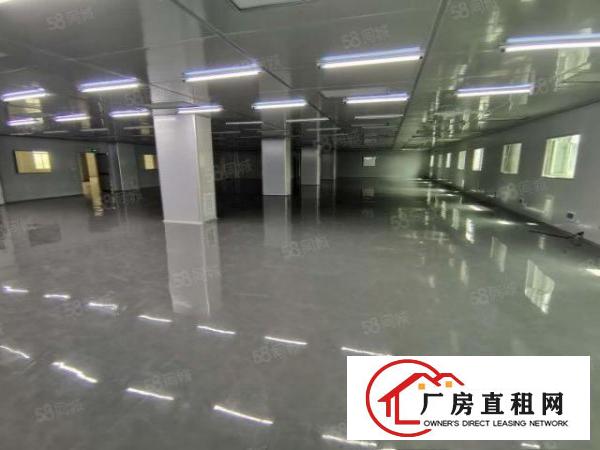  凤岗雁田南山工业园区3万平方独院整栋厂房出租空地出租无尘车间