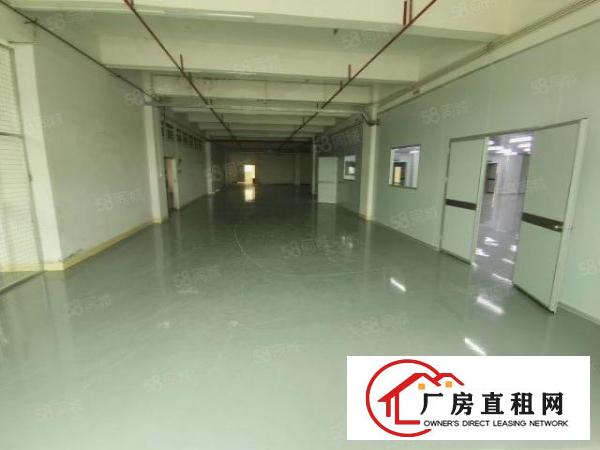  凤岗油甘埔大窝工业区无尘车间2000平方100起分厂房出租